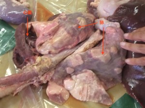 2015-09-17 09.39.37 のコピー