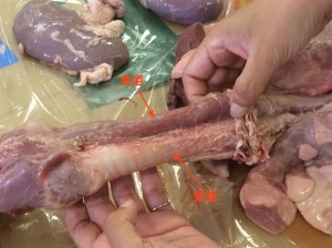 2015-09-17 09.39.26 のコピー